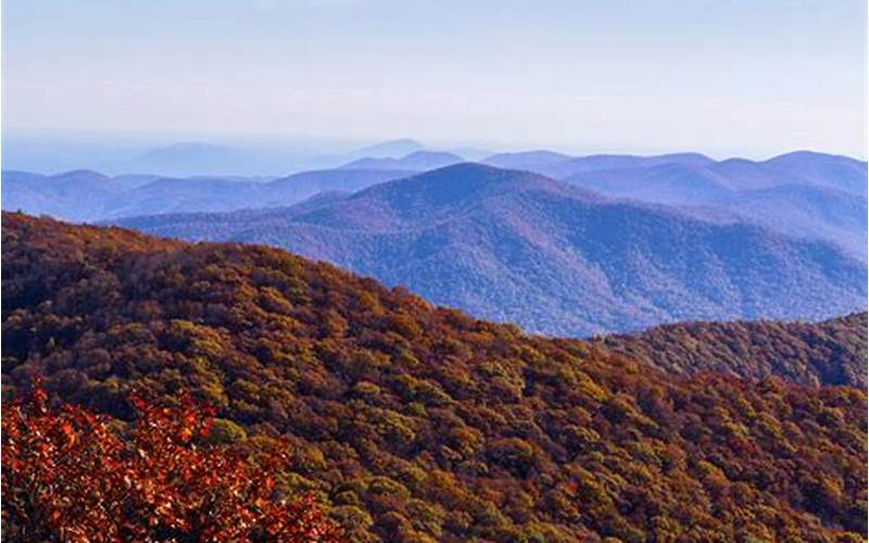 Georgia Mountains