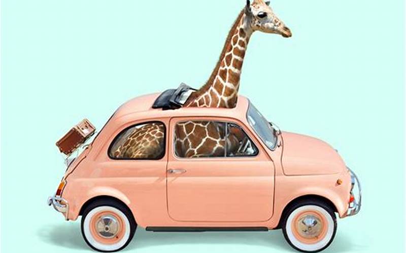 Giraffe Car Insurance Features