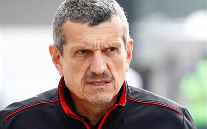 Guenther Steiner Real Estate