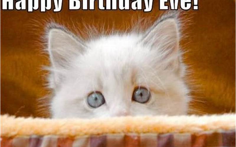 Happy Birthday Eve Meme: Make Your Loved one’s Birthday Eve Special