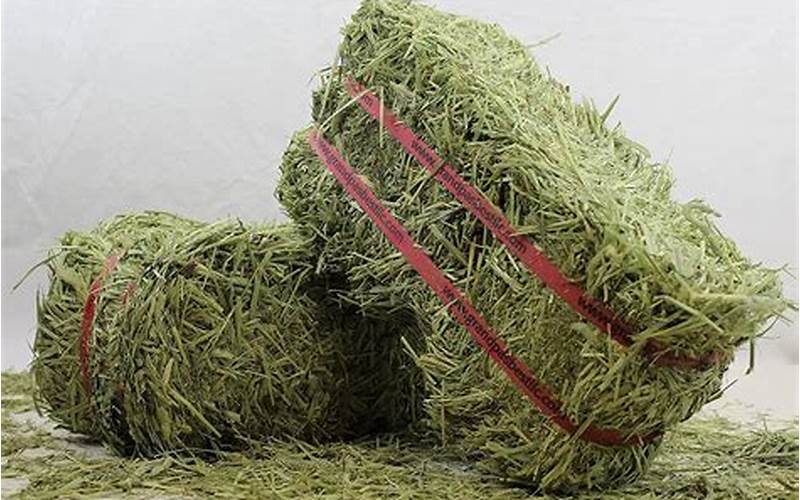 Hay For Horses