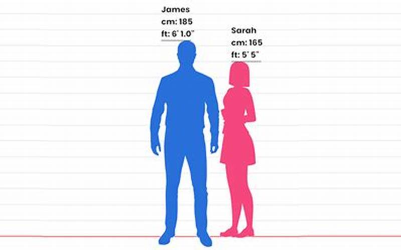 Height Comparison