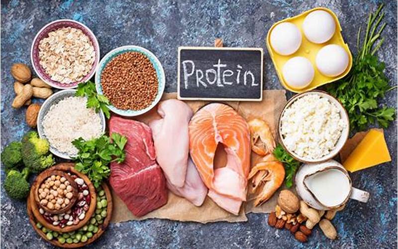 High Protein Foods