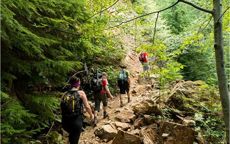 Bear Creek to Langham Creek Trail: A Scenic Hiking Experience