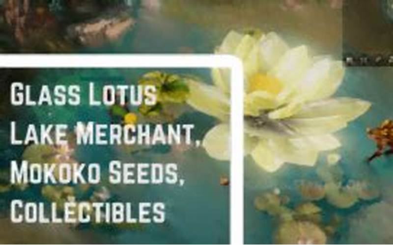 History Of Glass Lotus Lake Merchant