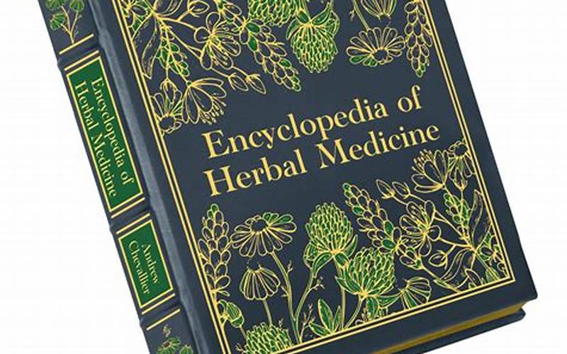Herbal Pathways Berwick Maine: The Ultimate Guide to Herbal Medicine
