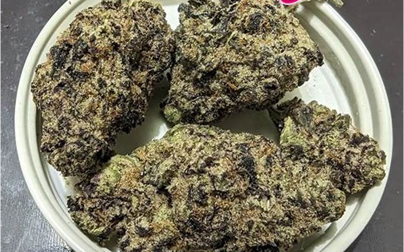 Hood Candy Weed Strain: The Ultimate Guide