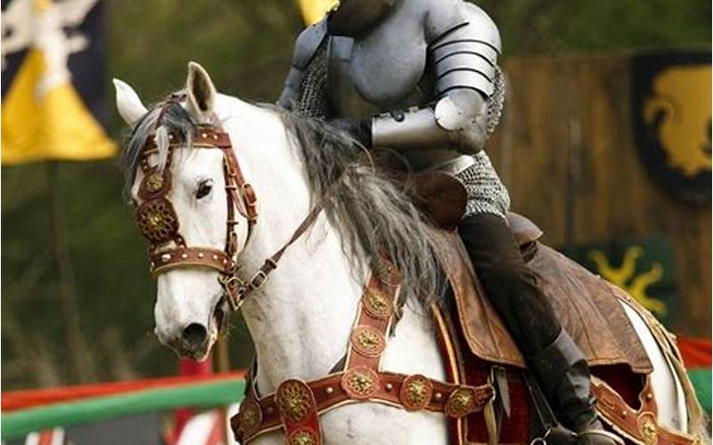 Horse In Medieval Times