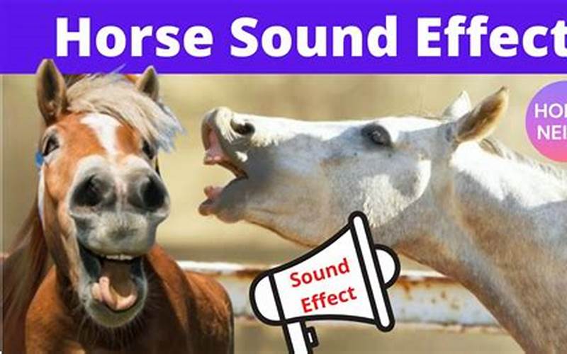 Horse Neigh Sound Effect: The Ultimate Guide to Understanding and Utilizing It