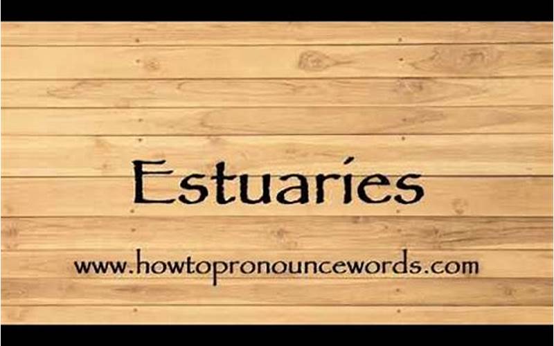 How to Pronounce Estuary: A Step-by-Step Guide