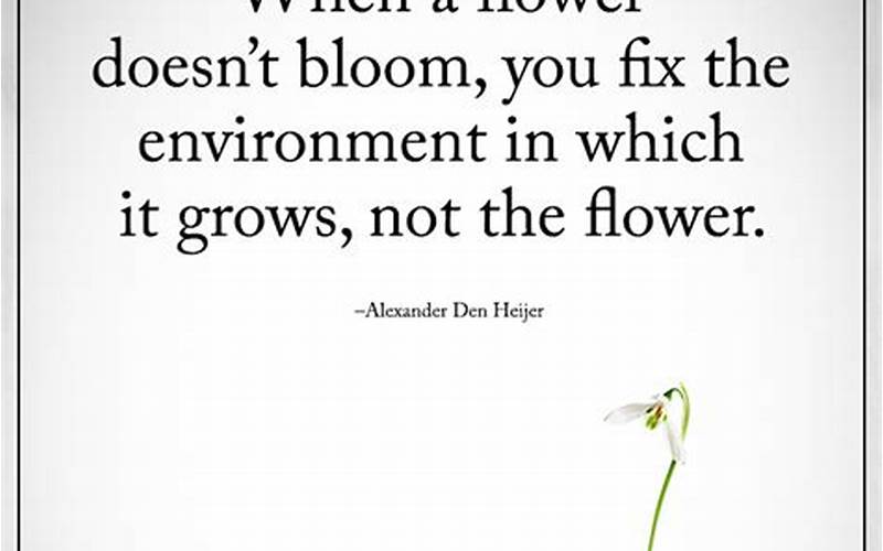 If A Flower Doesn’T Bloom Quote Self-Improvement