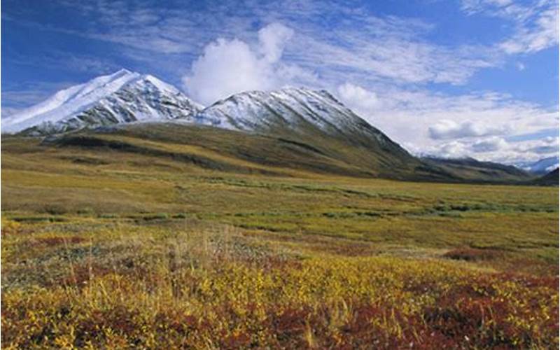 Impact Of Squatted Tundra On Environment