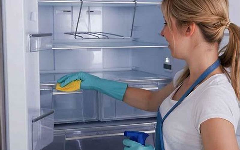 Importance Of Cleaning Fridge