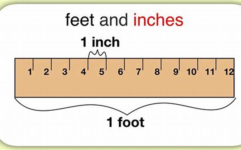 Inches And Feet