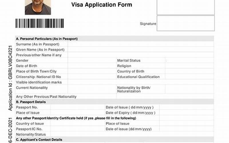 India Visa Application