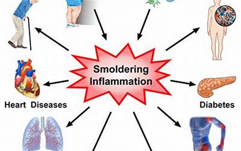 Rethinking the Origins of Inflammatory Disease