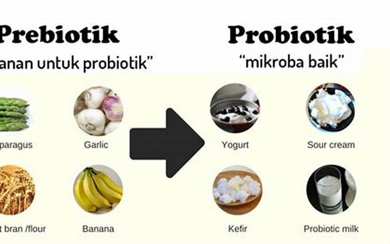 Konsumsi Makanan Yang Mengandung Probiotik