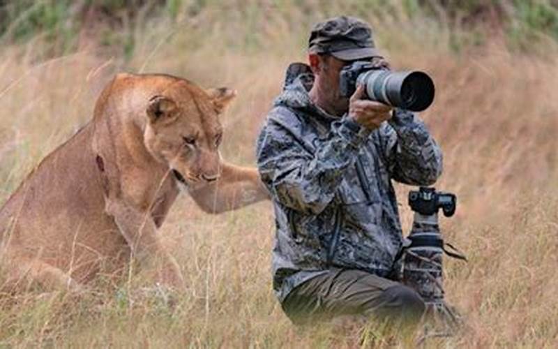 Lioness Asks Photographer for Help