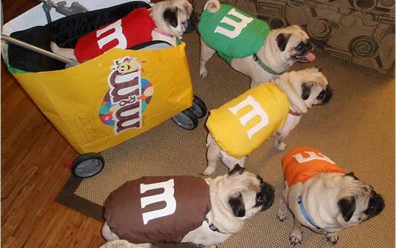 M&Ms And Dogs