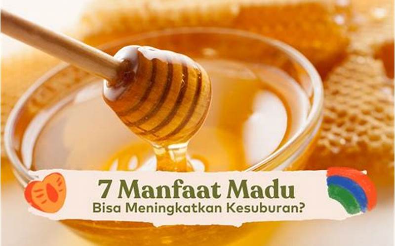 Manfaat Madu Asli Untuk Jerawat