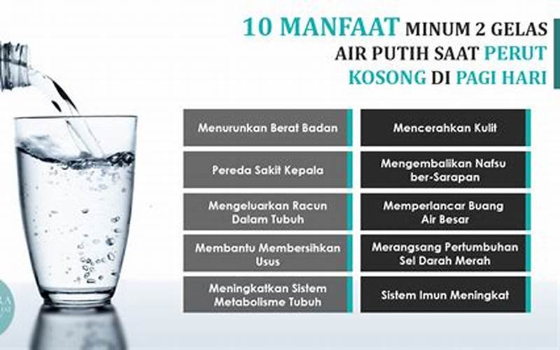 Manfaat Minum Air Putih Untuk Jerawat