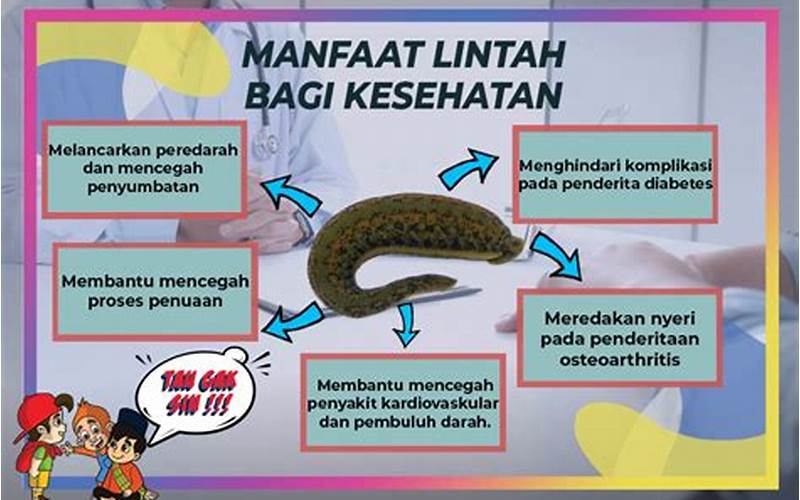 Manfaat Terapi Lintah Untuk Jerawat