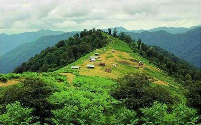 Masal Climate