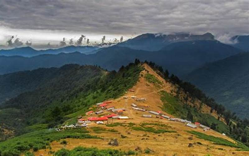 Discovering the Magnificent Beauty of Masal