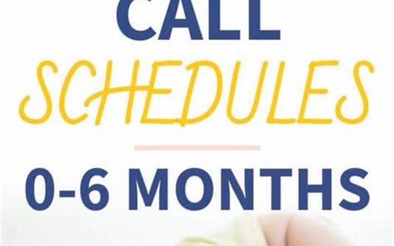 Moms On Call 5 Month Schedule Book
