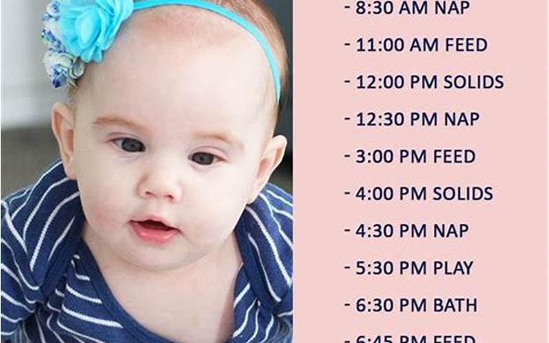 Moms on Call 5 Month Schedule: A Guide to a Peaceful Parenthood