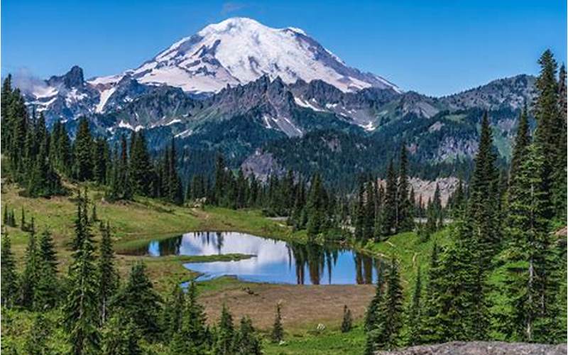 Mount Rainier National Park