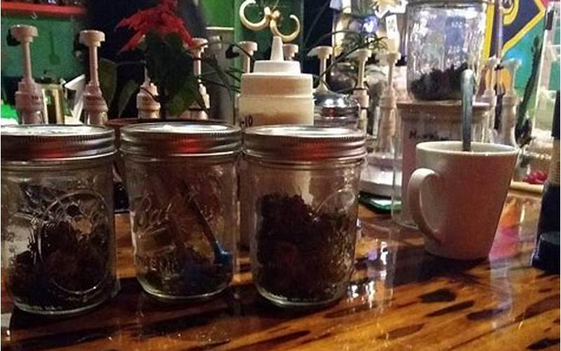 Noble Kava Ethnobotanical Tea Bar: A Relaxing Haven