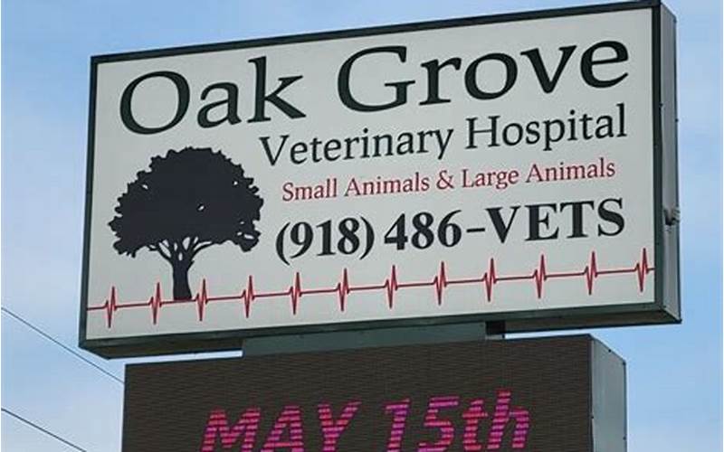 Oak Grove Vet Coweta Services