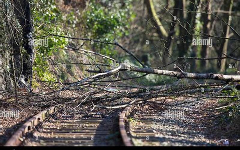 Obstruction In The Track