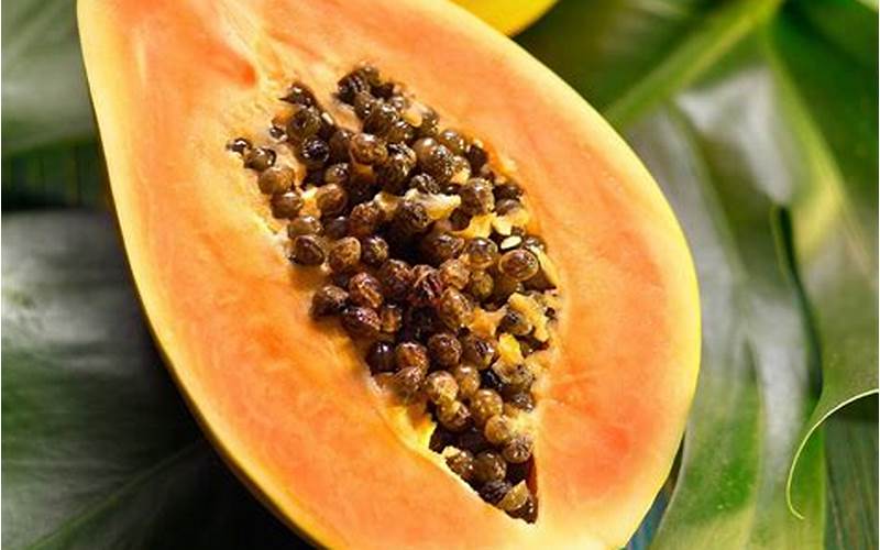 Papaya