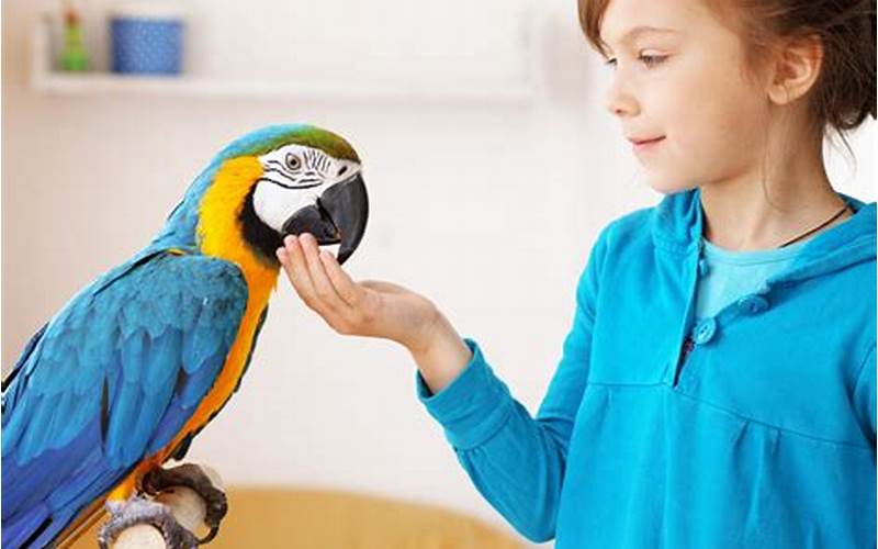 Parrot Worth Adopting – 5 Reasons Why You Should Consider It