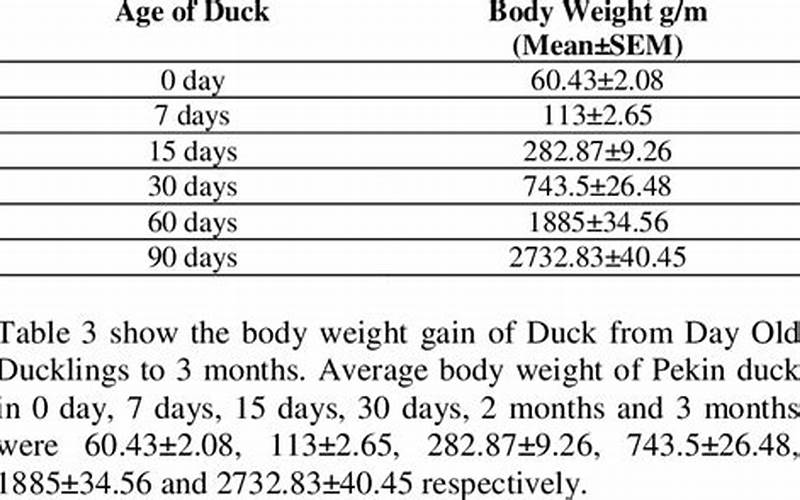 Pekin Duck Weight