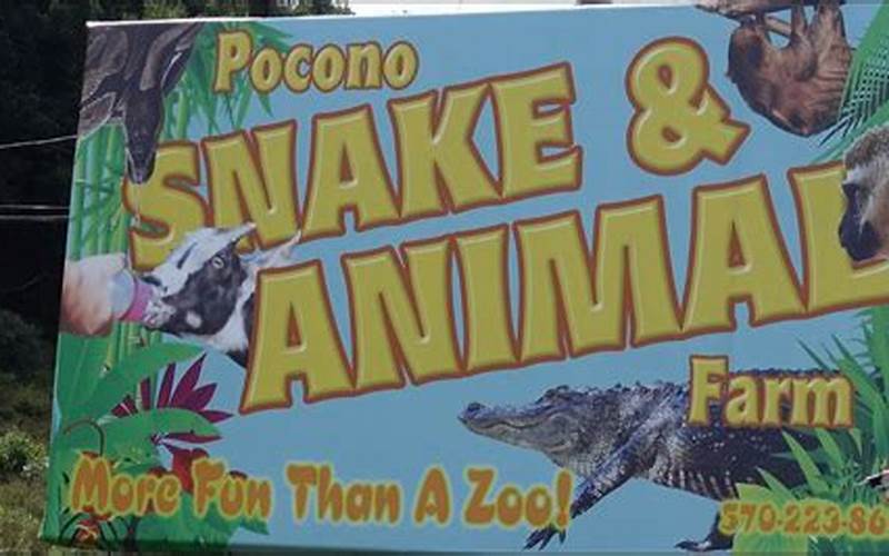 Pocono Snake And Animal Farm