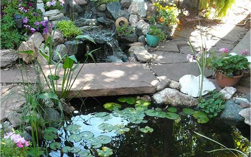 Pond In Nina'S Garden