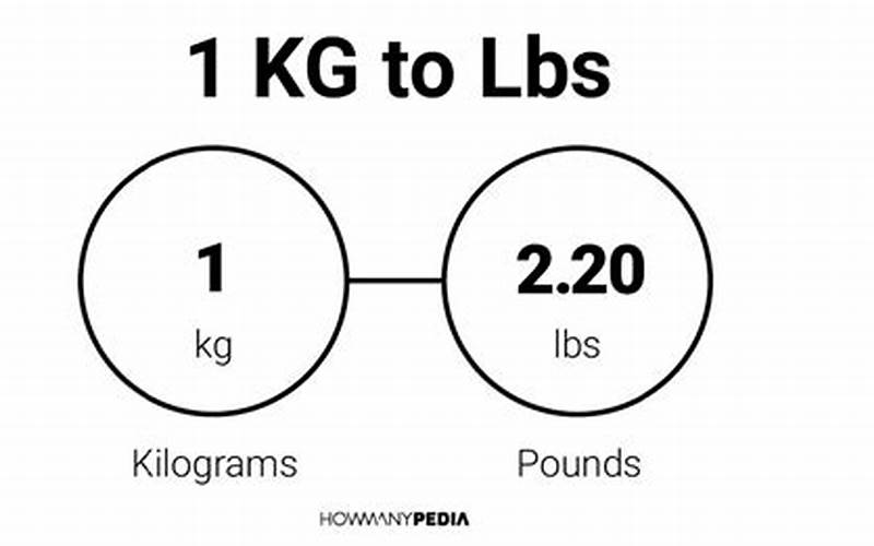 173.6 lbs to kg: Converting Pounds to Kilograms Made Easy