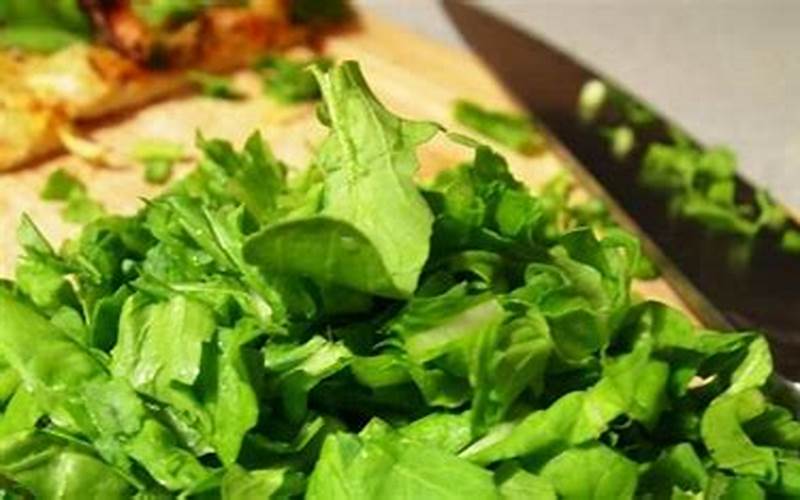 Preparing Arugula For Bearded Dragons Image