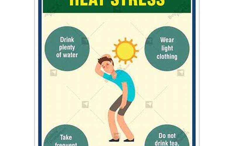 Preventing Anemone Heat Stress