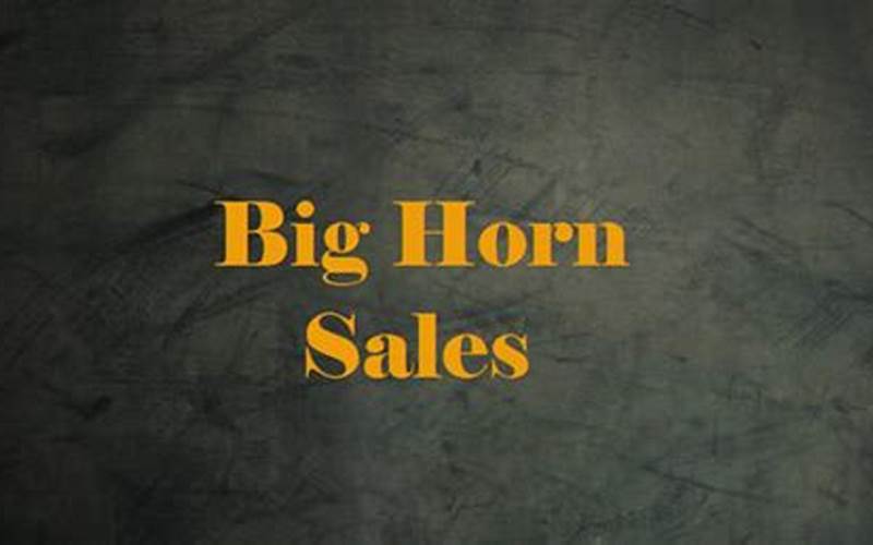 Products And Services Of Bighorn Sales Llc