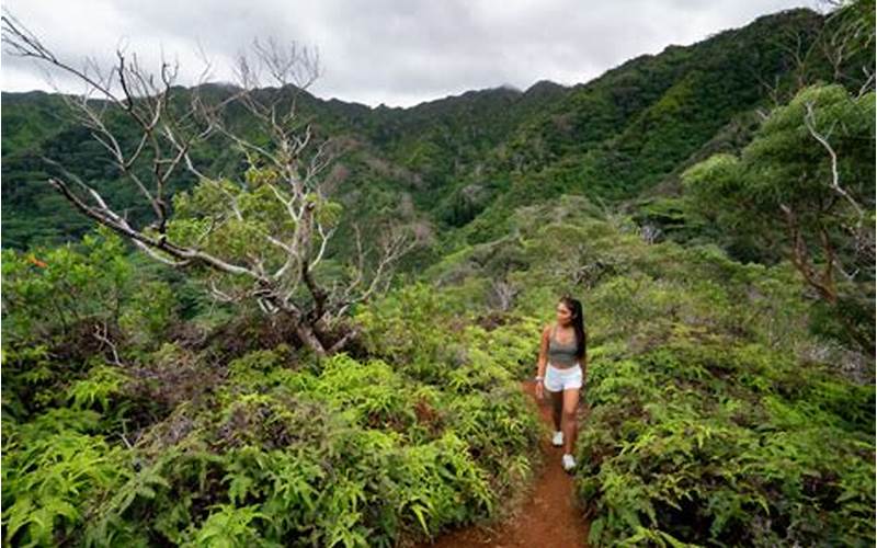 Summit of Pu’u Pia Trail: A Challenging but Rewarding Hike in Hawaii