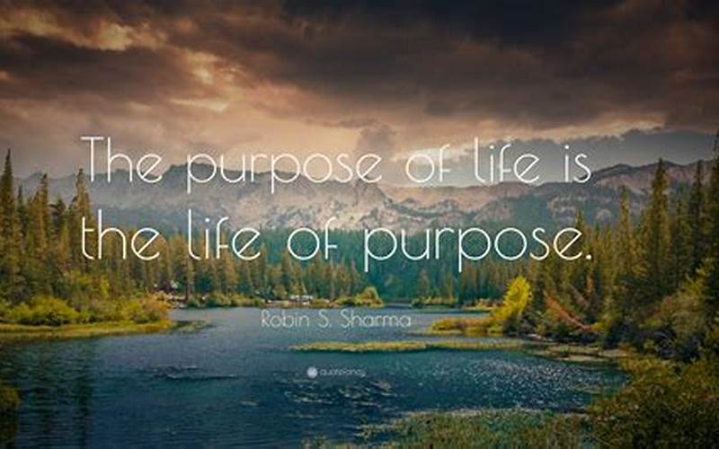 Purpose Of Life Quote