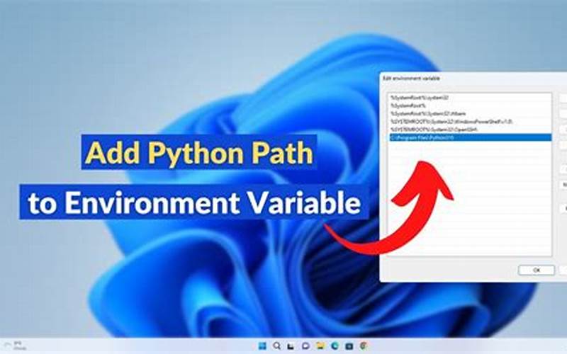 Python Environment Variables