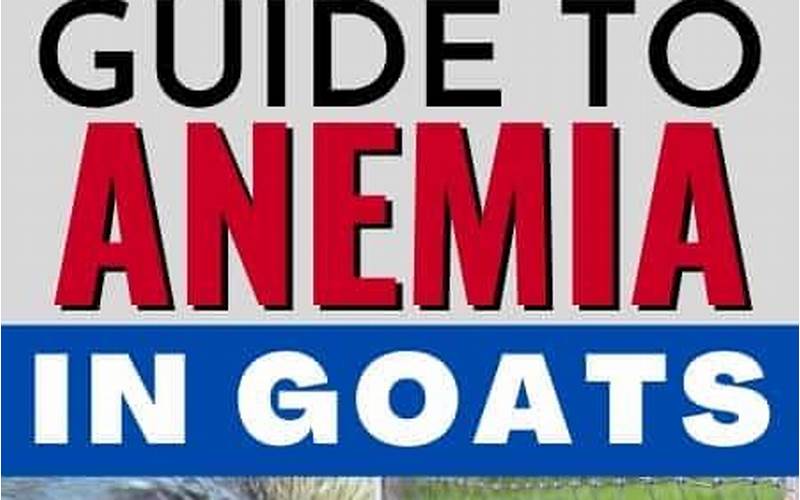 Red Cell Goat Dose: What You Need to Know