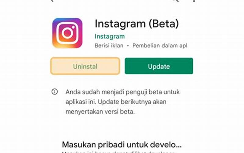 Reinstal Aplikasi Instagram