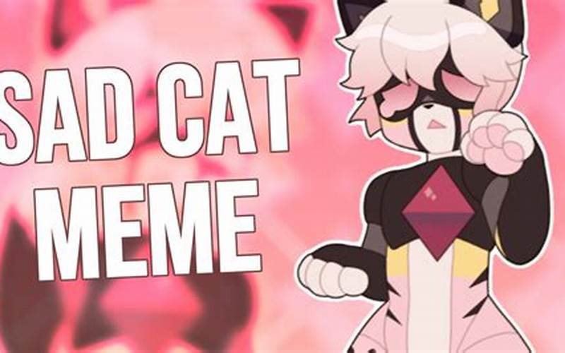 Sad Cat Dance Rule 34: A Look into the Hilarious Meme Culture