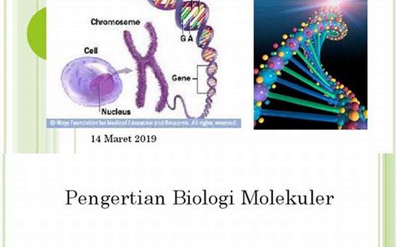 Sejarah Biologi Molekul